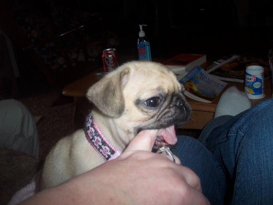 Tori biting me!